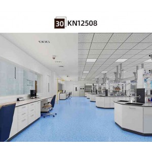 Plastic floor leather engineering plastic floor leather plastic floor