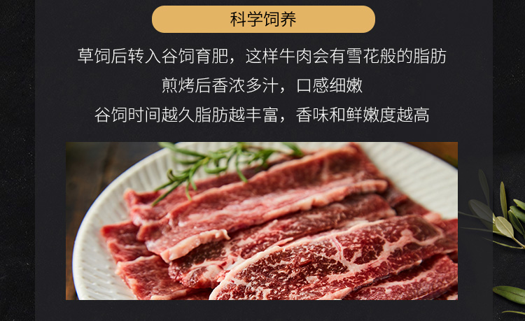 8fc5981444cb69b4263ccbc0afe275c2.jpg