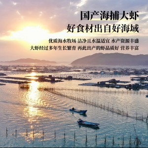 冷冻海鲜 大虾 青虾鲜虾海虾基围虾14-16厘米加量2kg
