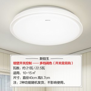 灯具卧室灯吸顶灯 客厅灯 餐厅灯 圆形 双色调光led
