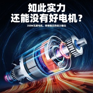 车辆 电动车 电动平衡车
