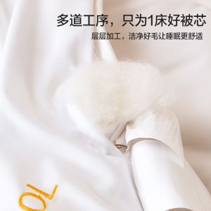 澳洲羊毛 羊毛被  双人加厚  秋冬被芯
