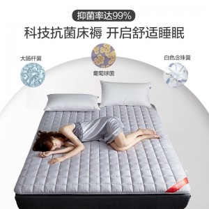 榻榻米床垫褥子 四季透气 软垫 可折叠  双人