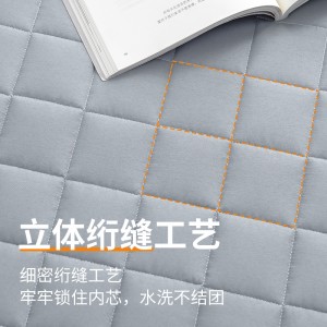 榻榻米床垫褥子 四季透气 软垫 可折叠  双人