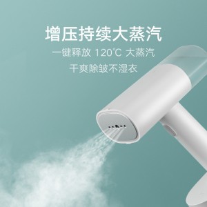 手持挂烫机 蒸汽电熨斗熨烫机