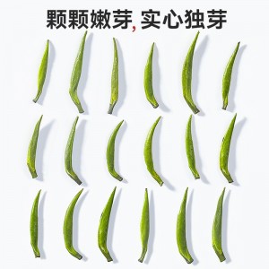 雀舌茶叶绿茶 2023春茶新茶浓茶