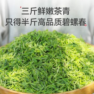2022新茶茶叶 绿茶 春尖茶 明前嫩芽茗茶