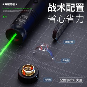强光手电筒 激光笔 绿光售楼沙盘教鞭指示笔