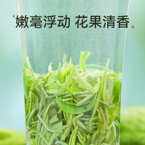 2022新茶茶叶 绿茶 春尖茶 明前嫩芽茗茶