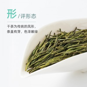 白茶罐装高山茶 春茶40g