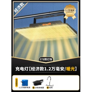 充电灯【经济款1.2万毫安/暖光】