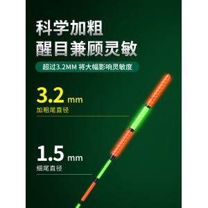 大物鱼漂 电子夜光漂 尾巨物远投夜钓浮漂