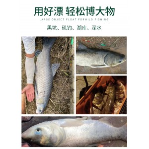 大物鱼漂 电子夜光漂 尾巨物远投夜钓浮漂