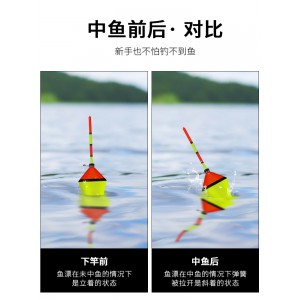 电子夜光漂 万向漂 新手自动钓鱼漂 绑好渔具套装