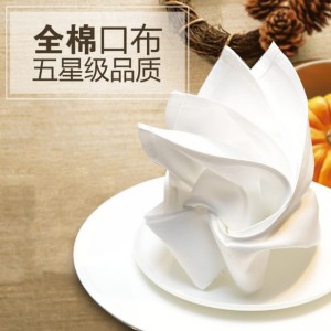 白色纯棉口布餐巾 （10条装）