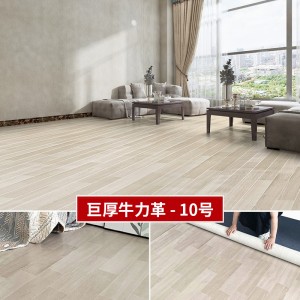2.6MM牛力革10号色【水泥地适用】