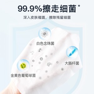 诗帛湿厕纸家庭实惠装男如洁厕湿巾纸擦屁股女士私处专用可冲马桶