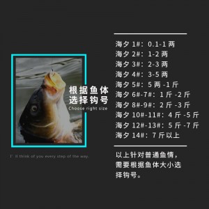 鱼钩 散装有无倒刺 正品细条海汐筏钓溪流钓钩