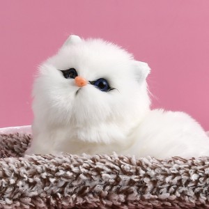 开学礼物送女友可爱猫咪萌宠情侣生日礼物女送闺蜜朋友