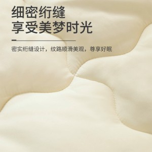 秋冬单人学生加厚舒柔四季保暖被芯