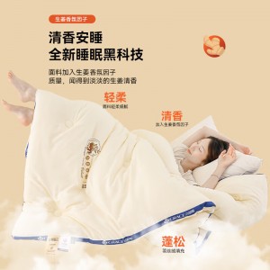 秋冬保暖加厚生姜纤维被冬被双人被褥被芯