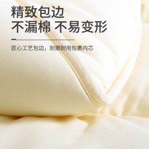 秋冬单人学生加厚舒柔四季保暖被芯