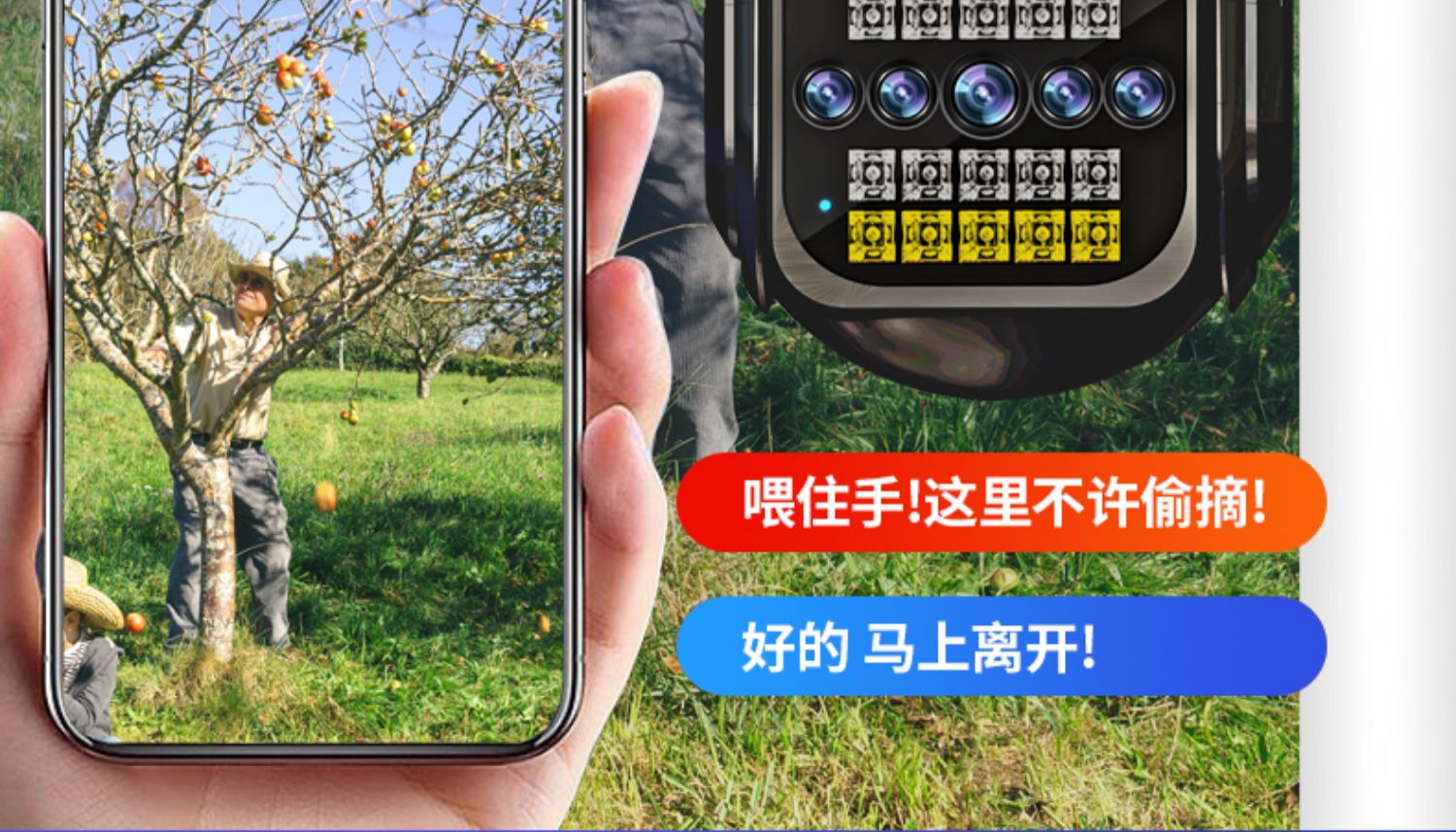 bd302be9eda1e5eac630f8fec5e89b72.jpg
