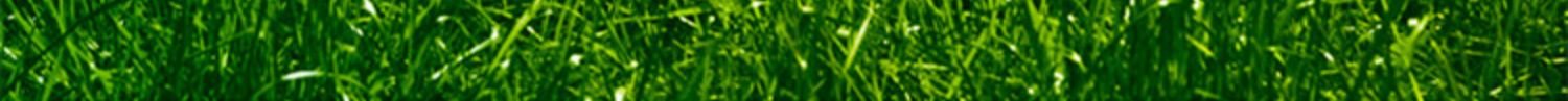 bf007e9b4776a3e66c33328da043b1a6.jpg