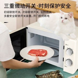21升多重火力 转盘式加热微波炉