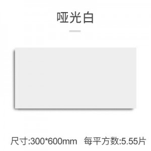 亚光白
